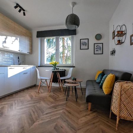 Przytulny Apartament Przy Sokolskiej - 550 Metrow Od Spodka Katowice Eksteriør billede