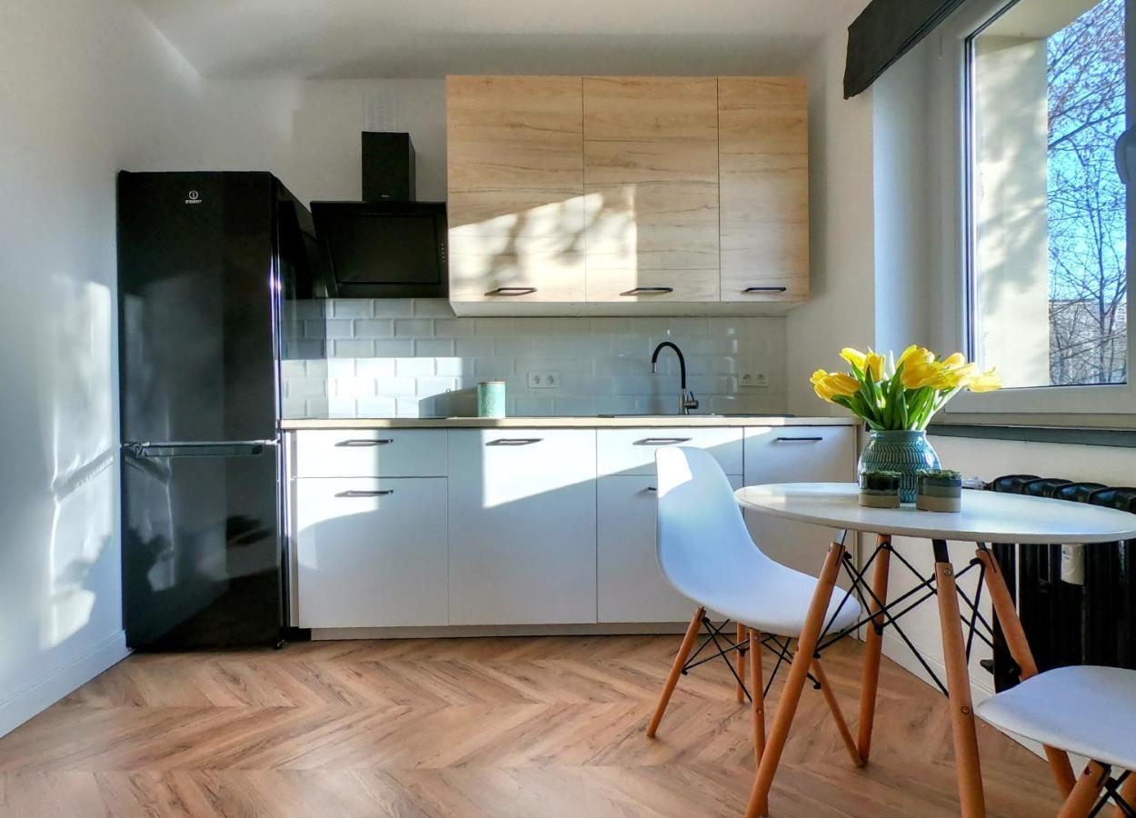 Przytulny Apartament Przy Sokolskiej - 550 Metrow Od Spodka Katowice Eksteriør billede