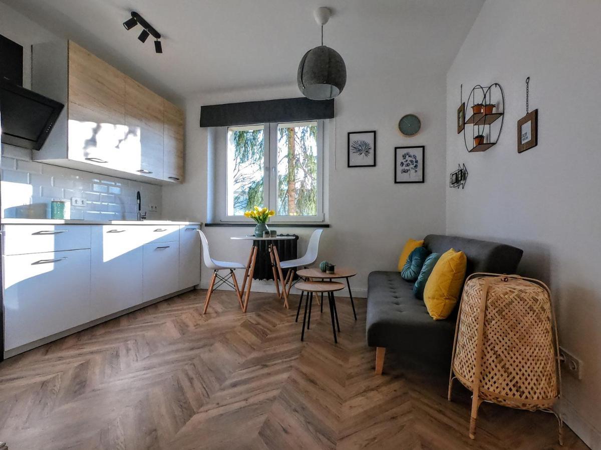 Przytulny Apartament Przy Sokolskiej - 550 Metrow Od Spodka Katowice Eksteriør billede